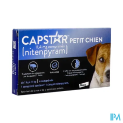 CAPSTAR PETIT CHIEN 11,4MG CPR 6