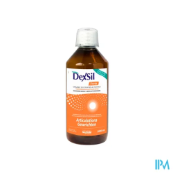 DEXSIL ARTICUL MSM SOL BUV 500ML