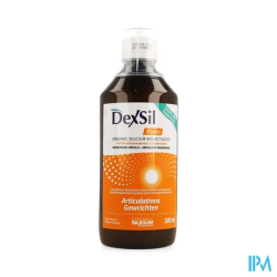 DEXSIL ARTICUL MSM SOL BUV 500ML