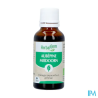 HERBALGEM MACER MER BIO AUBEP 30ML