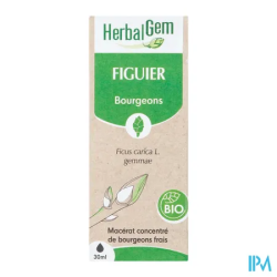 HERBALGEM MACER MER BIO FIGUIE30ML