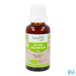 HERBALGEM MACER MER BIO FIGUIE30ML
