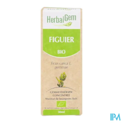 HERBALGEM MACER MER BIO FIGUIE30ML