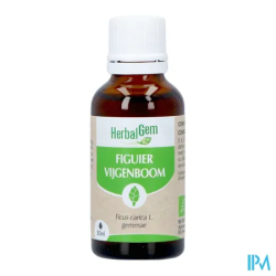HERBALGEM MACER MER BIO FIGUIE30ML