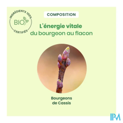 HERBALGEM MACER MER BIO CASSIS30ML