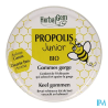 HERBALGEM PROPOLIS JUN GOM BIO 45G
