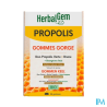 HERBALGEM PROPOLIS LARGE SPECTRE24