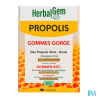HERBALGEM PROPOLIS LARGE SPECTRE24