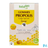 HERBALGEM PROPOLIS LARGE SPECTRE24
