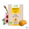 HERBALGEM PROPOLIS LARGE SPECTRE24