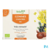 HERBALGEM GOM CHANTRES BIO