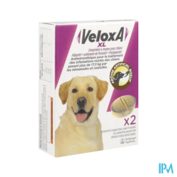 VELOXA XL CN CHIEN CPR A CROQ 2