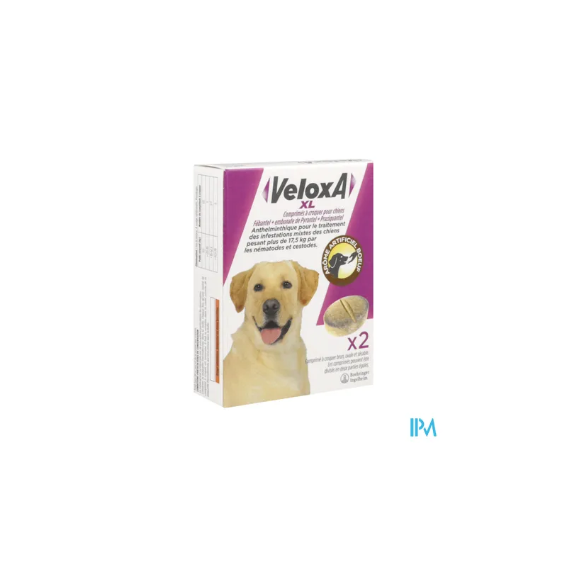 VELOXA XL CN CHIEN CPR A CROQ 2