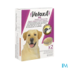 VELOXA XL CN CHIEN CPR A CROQ 2