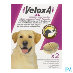 VELOXA XL CN CHIEN CPR A CROQ 2