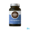 HIFAS TERRA EQUILIBRIUM GELU 60