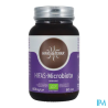 HIFAS TERRA MICROBIOTA GELUL 60