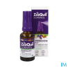 ZZZQUIL SOMMEIL SPRAY 30ML