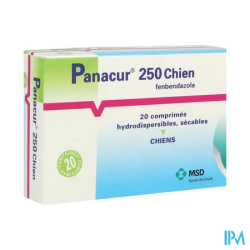 PANACUR 250 CPR CHIEN 20