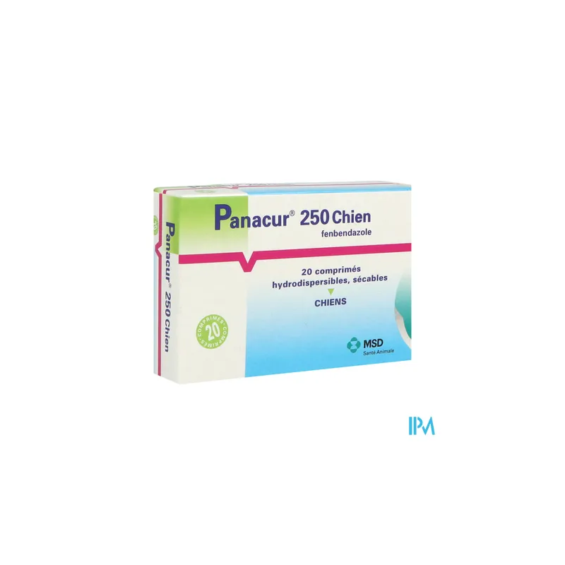 PANACUR 250 CPR CHIEN 20