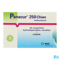 PANACUR 250 CPR CHIEN 20