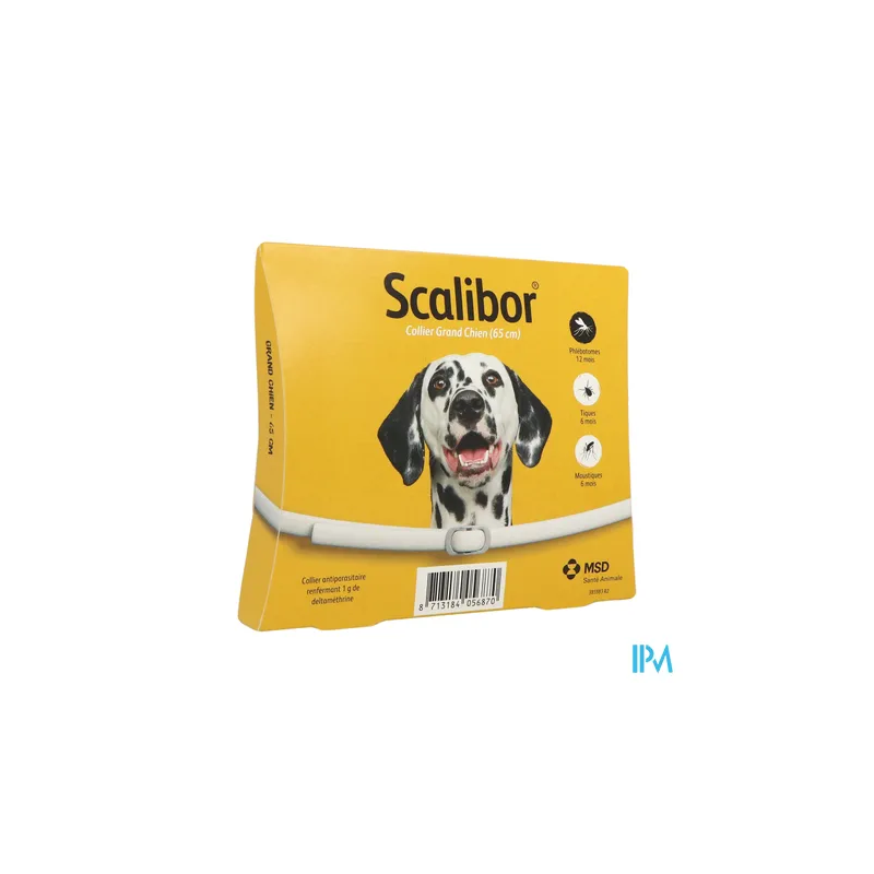 COLLIER INS CHIEN GD SCALIBOR