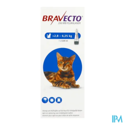 BRAVECTO SPOTON CT 2,8-6,25KG DOS1