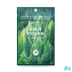 SKIN1004 TEA SPOT COVER PATCH X22