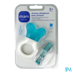 ANNEAU DENTITION MAM REFRIG+ATTACH