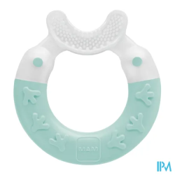 ANNEAU DENTITION MAM NETTOYANT