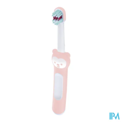 BDEN MAM 1ER BROSSE