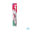 BDEN GUM SENSIVITAL 509