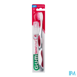 BDEN GUM SENSIVITAL 509