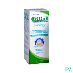 GUM GINGIDEX B/BOU0,06P100+DENT