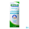 GUM GINGIDEX B/BOU0,06P100+DENT