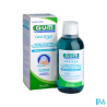 GUM GINGIDEX B/BOU0,06P100+DENT