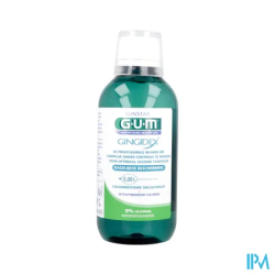 GUM GINGIDEX B/BOU0,06P100+DENT