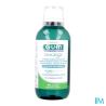 GUM GINGIDEX B/BOU0,06P100+DENT