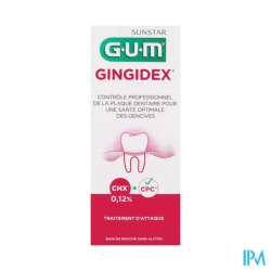 GUM GINGIDEX B/BOUC0,12P100 300