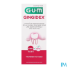 GUM GINGIDEX B/BOUC0,12P100 300