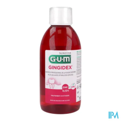 GUM GINGIDEX B/BOUC0,12P100 300