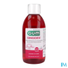 GUM GINGIDEX B/BOUC0,12P100 300