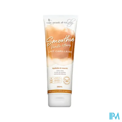 SECRET LOLY SMOOTH VAN/YLANG 250ML