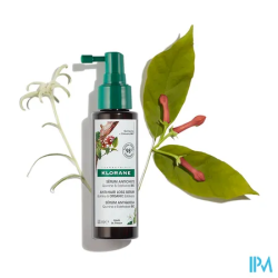 KLORANE SER A/CHUTE QUIN&EDEL100ML