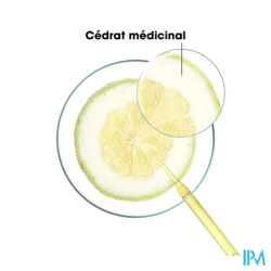 KLORANE SH SOLIDE CEDRAT 80G