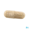 ANACAPS EXPERT CHUTE CHEV GELUL 30