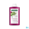 KLORANE SH FIGUE BARBARIE 400ML