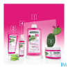 KLORANE MASQ REPULP FIGUIER 250ML