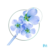 KLORANE SH SEC VOLUME SPR 150ML