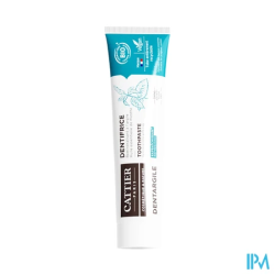 DENTARGILE DENT MENTHE TUB 75ML